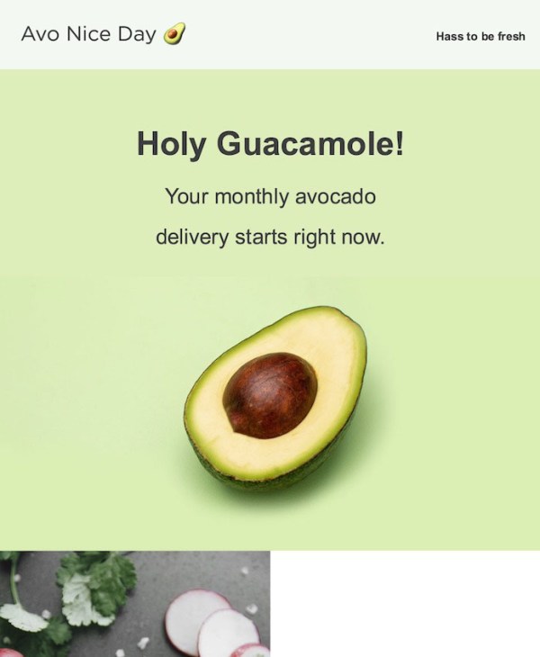 avocado email template