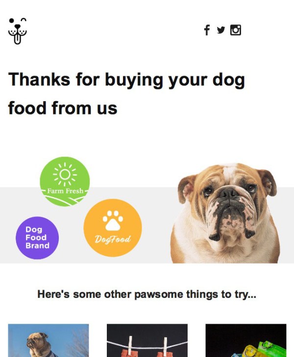 dog food email template