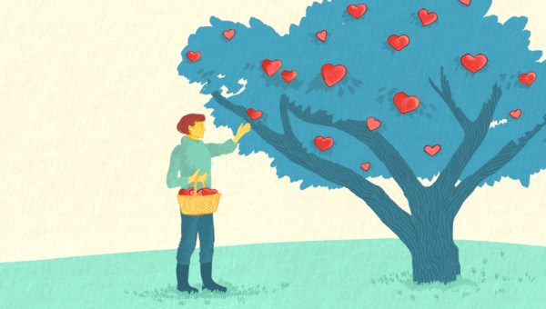 Illustration of someone picking apples from a tree