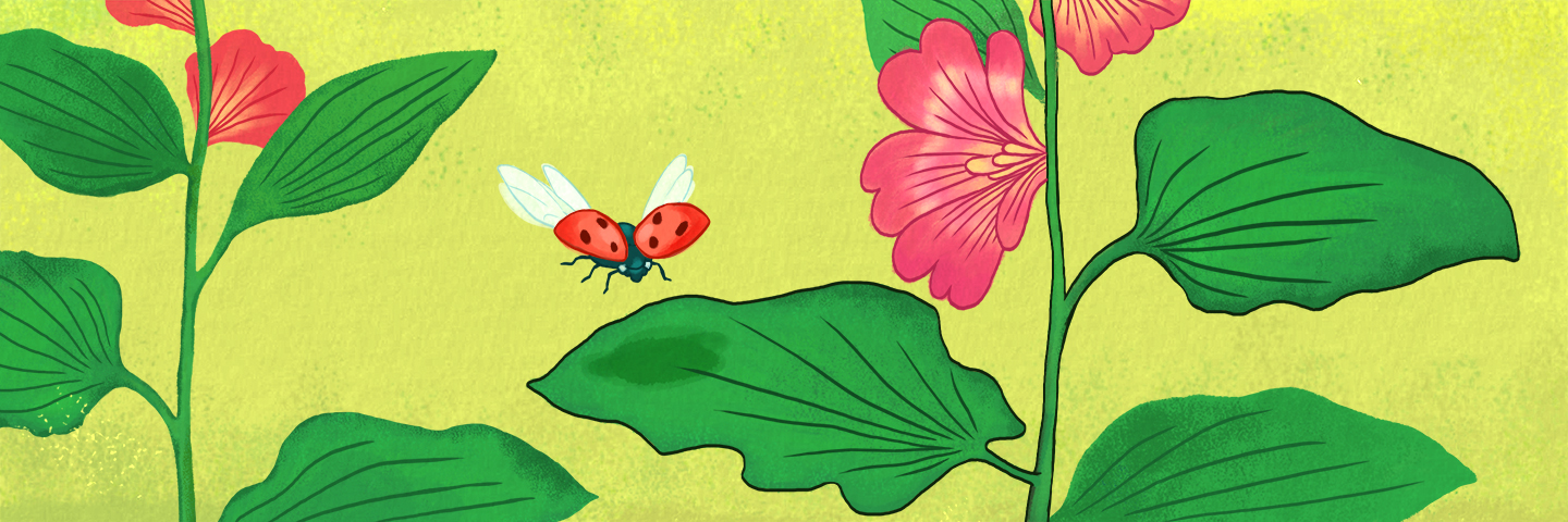 illustration of ladybirds landing on a leaf