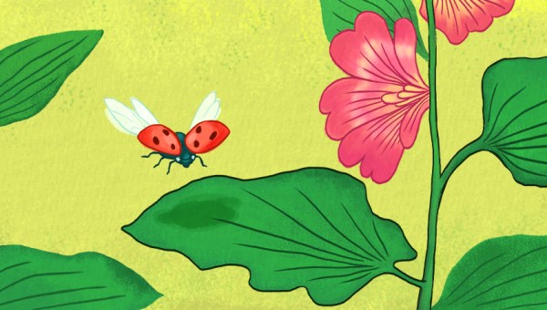 illustration of ladybirds landing on a leaf