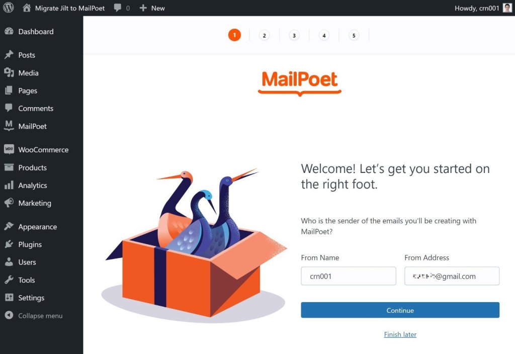 MailPoet setup wizard