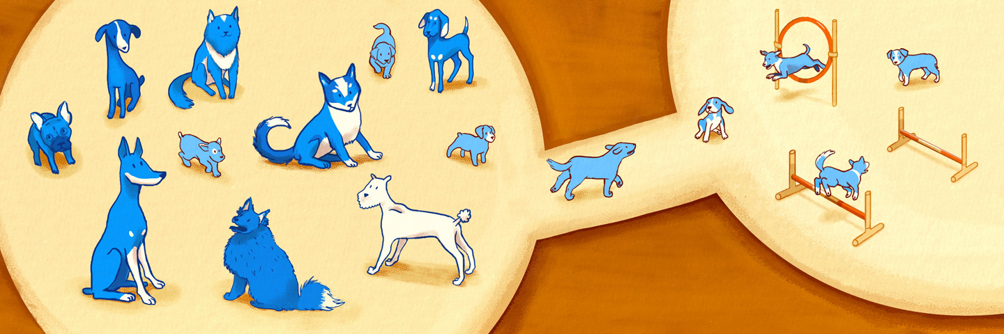 Illustration of dogs