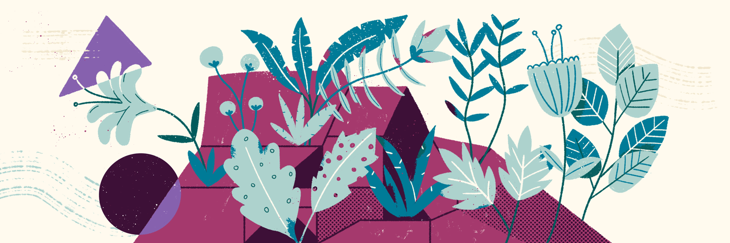 Illustration of plants