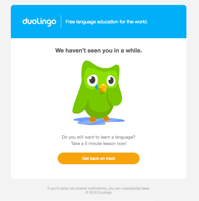 Duolingo sad owl