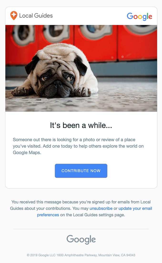 Google Local Guides sad dog email